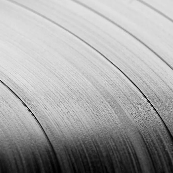 AM Record Cleaner Brush, Ultra Fine Carbon Fibre, Record Anti-Static for Music Lovers, Lifts Dust & Reduces Friction, Record Cleaning Must Have