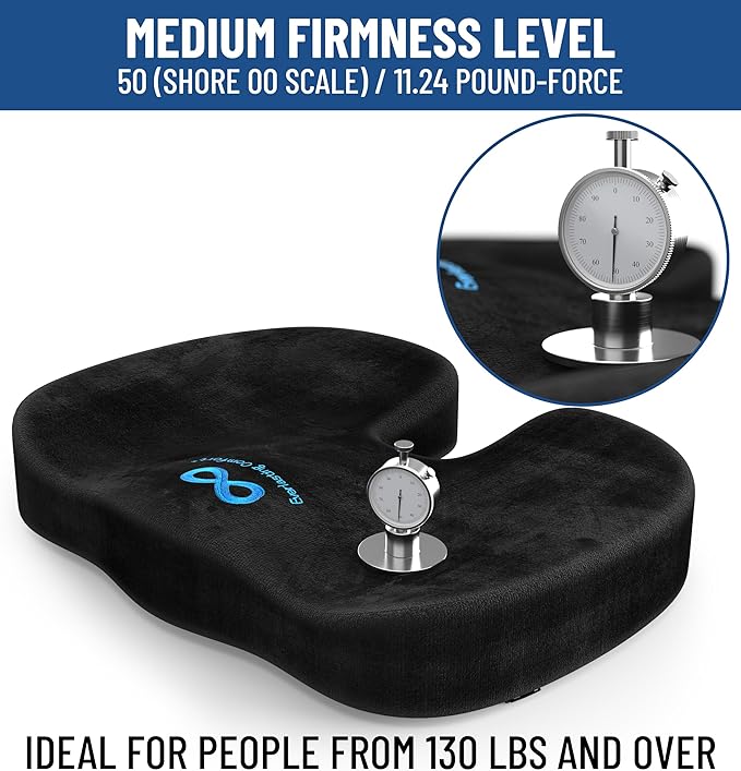 Everlasting Comfort Doctor Recommended Memory Foam Seat Cushion for Office Chairs & Car - Ergonomic Office Desk Accessories - Cushions for Tailbone Pain Relief, Sciatica (Black, Large)