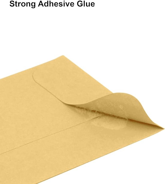 #1 Coin Envelopes 500 Pcs - 2.25×3.5 Inches – Thick & Heavy-Duty Gummed Flapped Kraft Envelopes – Perfect for Coins, Money, Seeds, Home, Office, Wedding & Pocket Use