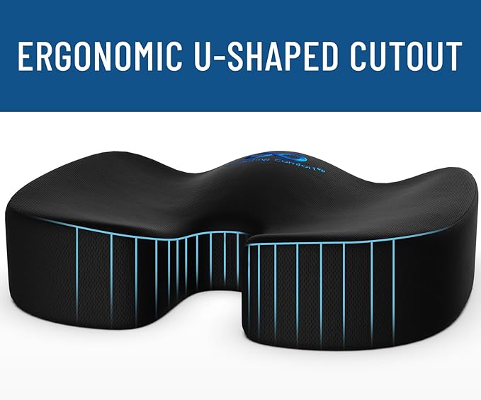 Everlasting Comfort Doctor Recommended Memory Foam Seat Cushion for Office Chairs & Car - Ergonomic Office Desk Accessories - Cushions for Tailbone Pain Relief, Sciatica (Black Ventilated, Large)