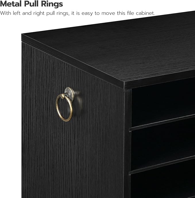 HOOBRO Literature Organizer, 27 Compartments Wooden Mail Organizer, Countertop Literature Sorter with Adjustable Shelves for Home, Office, School, Student Mailbox for Classroom, Black BK27WF01