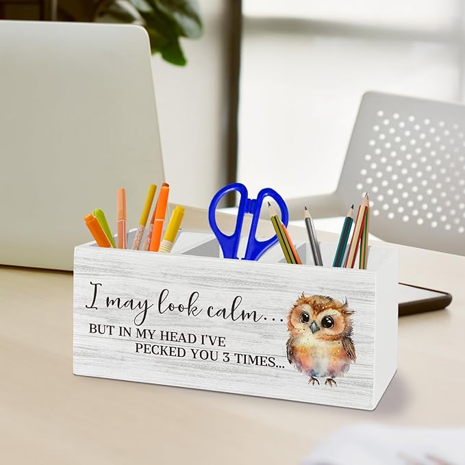 Owl Funny Pen Pencil Holder Organizer for Desk Accessories, I May Look Calm Funny Wooden Box Sign Desk Decor for Home Office Decoration, Owl Lovers Gifts for Women