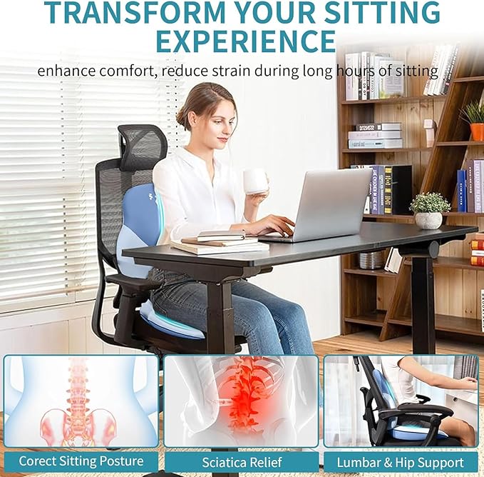 FLORICH Seat Cushion Lumbar Support Pillow for Office Chair, Car Lower Back Support, Ergonomic Desk Chair Pillow for Butt and Back Support of Memory Foam Seat Pad(Blue)