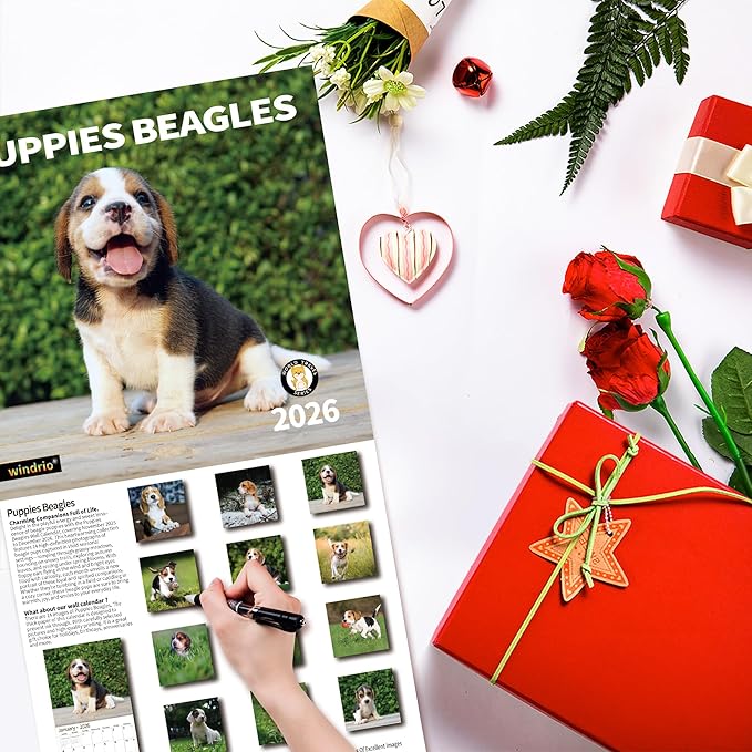 2026 Wall Calendar,Calendar 2026, November 2025 - December 2026, Wall Calendar Puppies Beagles, 12" x 24" Opened,Full Page Months Thick & Sturdy Paper for Gift Perfect Calendar Organizing & Planning