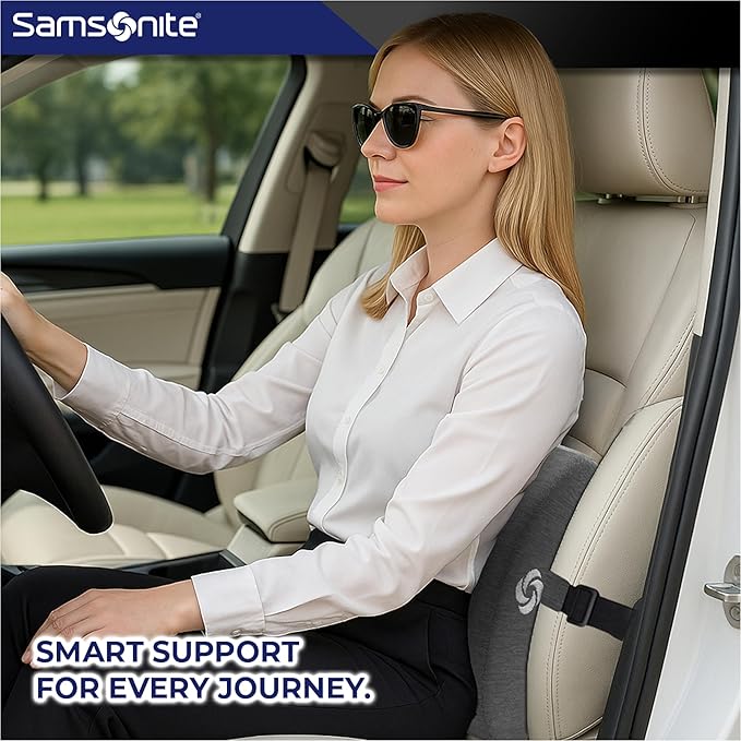 Samsonite Ergonomic Lumbar Support Pillow for Office Chair and Car Seat - Memory Foam Back Support Lumbar Pillow Premium Cushion Chair Support for Lower Back Pain Relief and Versatile Use (Slate Grey)