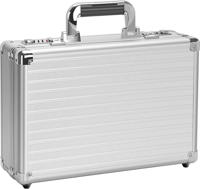 Security Lock Boxes - 14.2 x 9.4 x 4.5 Inch Medium, Portable Locking Storage Totes with Dual Combination Locks, Medicine Lock Box, Lock Boxes for Personal Items, Cash & Briefcase - Silver