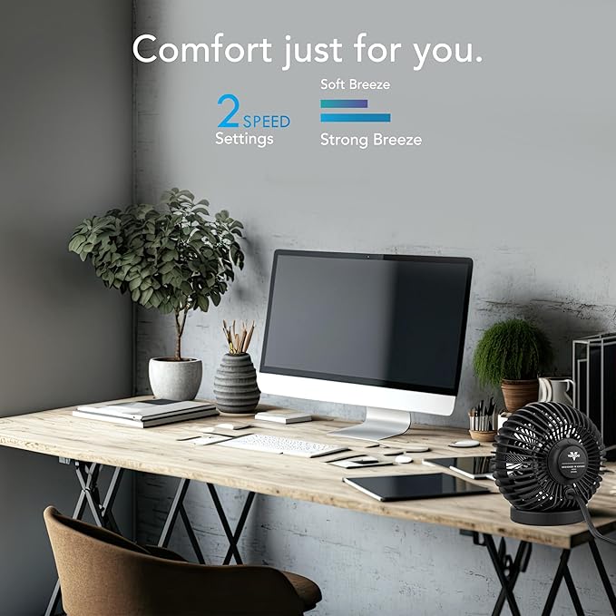 Vornado SPHERE Personal Adjustable Fan, Quiet Operation, Targeted Cooling Airflow, 2 Speed Settings, Manual Control, Detachable Base, Fan for Desktop, Nightstand, and Office, Black