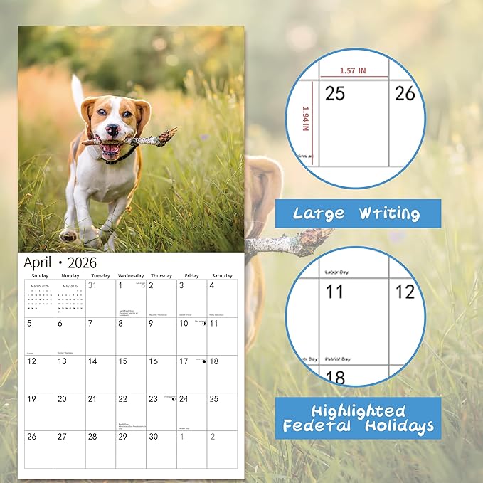 2026 Wall Calendar,Calendar 2026, November 2025 - December 2026, Wall Calendar Puppies Beagles, 12" x 24" Opened,Full Page Months Thick & Sturdy Paper for Gift Perfect Calendar Organizing & Planning
